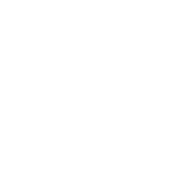 derecho de sucesiones blanco